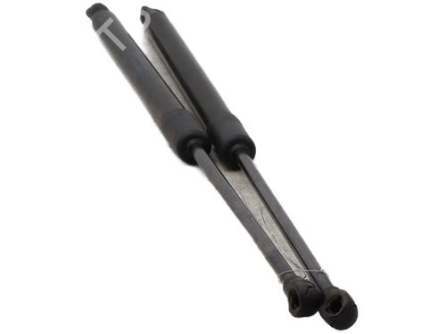 Tailgate lift support VW GOLF VIII (CD1, DA1) 2.0 GTI Clubsport | BP29892954C138 