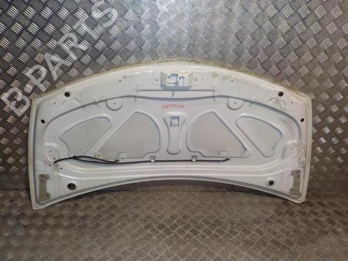 Used Hood Hood RENAULT CLIO III (BR0/1, CR0/1) 1.2 16V (BR02, BR0J, BR11, CR02, CR0J, CR11) (75 hp) 24895248 24895248