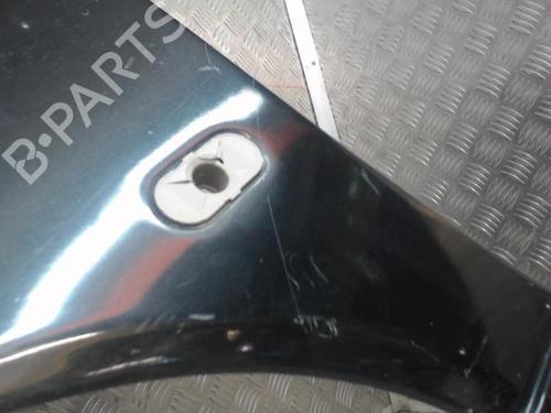Left front fenders RENAULT TWINGO I (C06_) 1.2 16V (C060) | BP25814076C41 