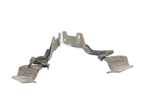 Used Hinge/Door check strap RENAULT CLIO III (BR0/1, CR0/1) 1.6 16V (BR09, BR0T, CR09, CR0T) (88 hp) 27677246