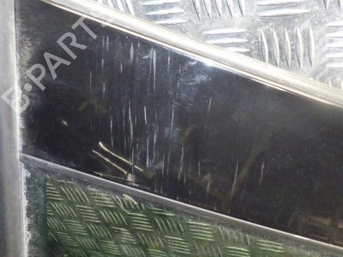 Left rear door RENAULT SCÉNIC III (JZ0/1_) 1.2 TCe (JZ16) | BP24264326C4 