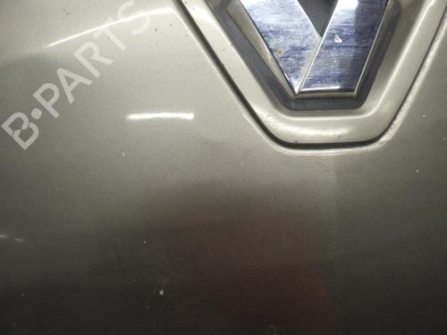 Hood RENAULT MEGANE III Coupe (DZ0/1_) 1.5 dCi (DZ0B) | BP24265282C1 