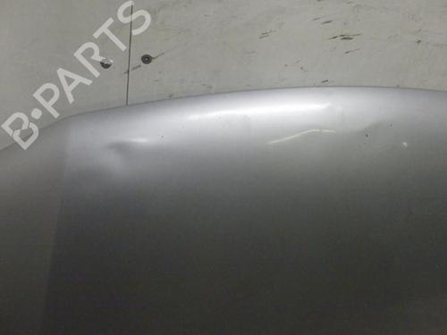 hood-dacia-sandero-ii-2012-33737782 main image