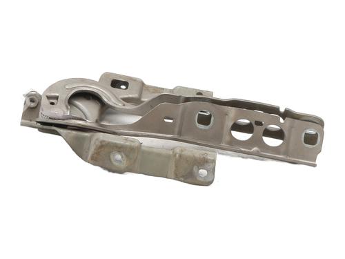 hingedoor-check-strap-citroen-c4-ii-nc_-2009-31947117 main image