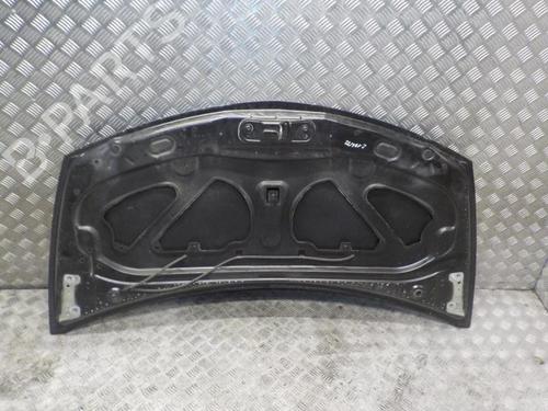 Hood RENAULT CLIO III (BR0/1, CR0/1) 1.2 16V (BR02, BR0J, BR11, CR02, CR0J, CR11) | BP24268864C1 