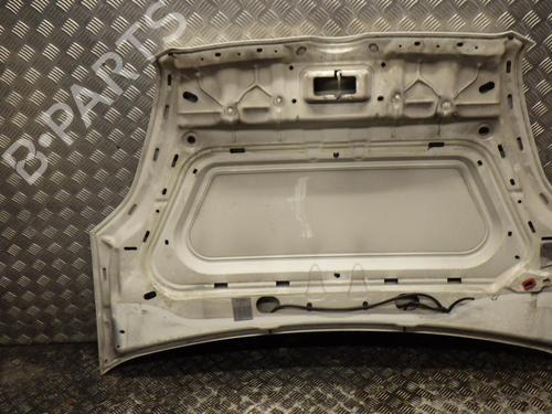 hood-fiat-doblo-cargo-263_-2010-25203402 main image