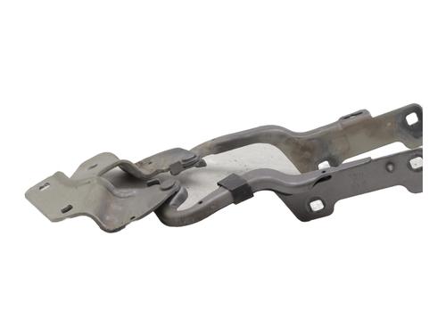 Hinge/Door check strap RENAULT CLIO III (BR0/1, CR0/1) 1.2 16V (BR0P, CR0P) | BP27596566C146 