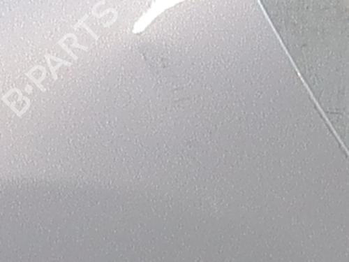 Forskærm venstre Forskærm venstre PEUGEOT 207 (WA_, WC_) 1.4 HDi (68 hp) 37419387 37419387