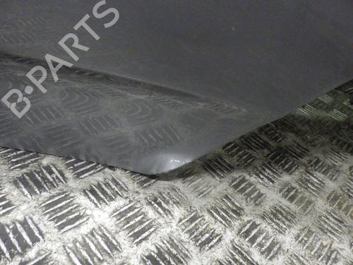 Left rear door BMW X3 (E83) 3.0 d | BP24271997C4 