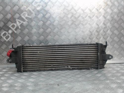 Used Intercooler Intercooler RENAULT TRAFIC II Van (FL) 2.0 dCi 115 (FL01, FL0U, FL00, FL0H, FL0M) (114 hp) 24277077 24277077