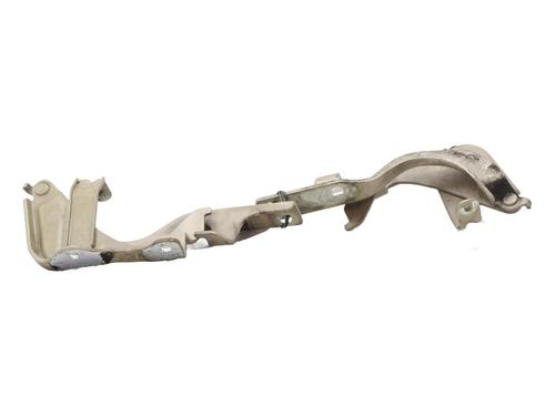 hingedoor-check-strap-chevrolet-captiva-c100-c140-2006-32241142 main image