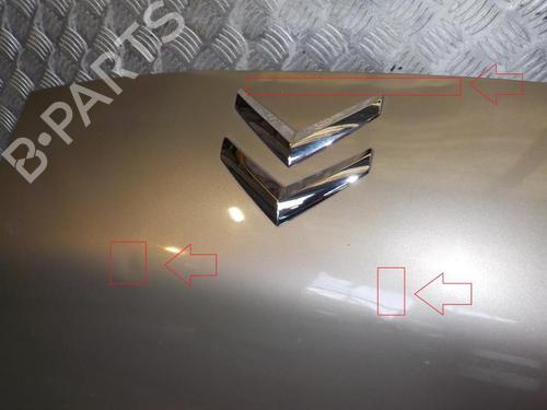 Used Hood CITROËN NEMO MPV 1.4 HDi (68 hp) 24276638