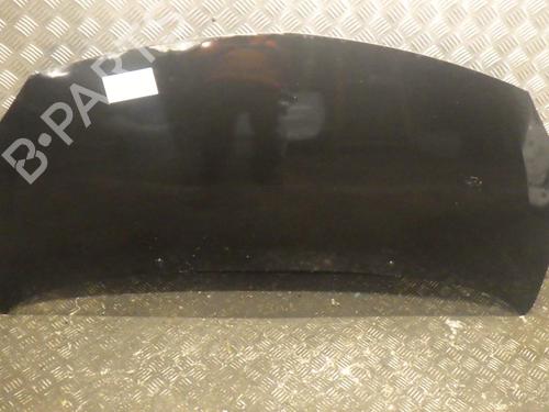 hood-renault-twingo-ii-cn0_-2007-31835592 main image