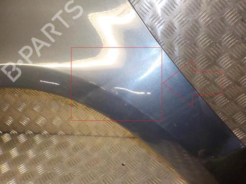 Guarda-lamas esquerdo Guarda-lamas esquerdo FORD C-MAX (DM2) 1.8 TDCi (115 hp) 24268720 24268720
