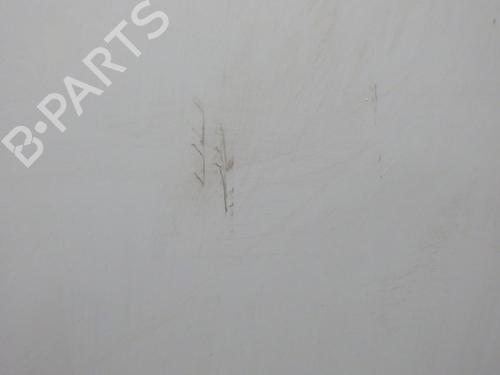 Right front door RENAULT CLIO IV (BH_) 1.2 16V | BP25006178C3 