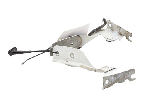 hingedoor-check-strap-vw-up-121-122-bl1-bl2-bl3-123-2011-36367220 main image