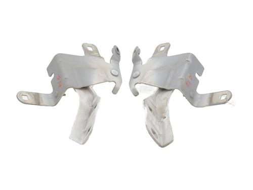 Hinge/Door check strap RENAULT CLIO IV (BH_) 1.5 dCi 75 | BP27482978C146 