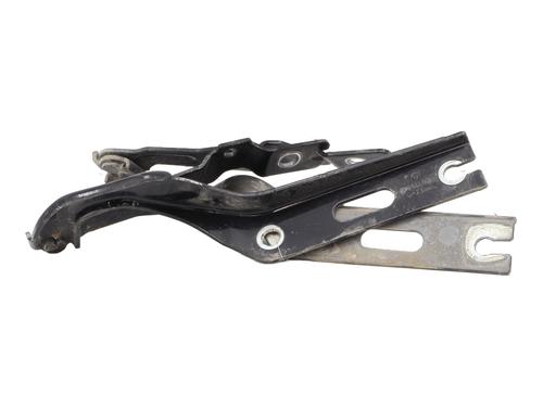 Used Hinge/Door check strap Hinge/Door check strap VW POLO VI (AW1, BZ1, AE1) 2.0 GTI (200 hp) 35771643 35771643