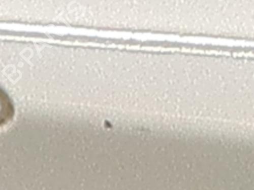 Right front door KIA PICANTO II (TA) 1.0 | BP28815655C3 