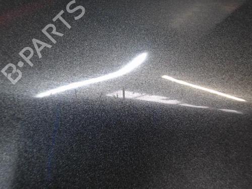 Left front fenders CITROËN C4 II (NC_) 1.6 VTi 120 (NC5FS0, NC5FS9) | BP29187973C41 