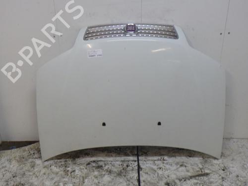 Used Hood FIAT PUNTO (188_) 1.3 JTD 16V (70 hp) 31067640