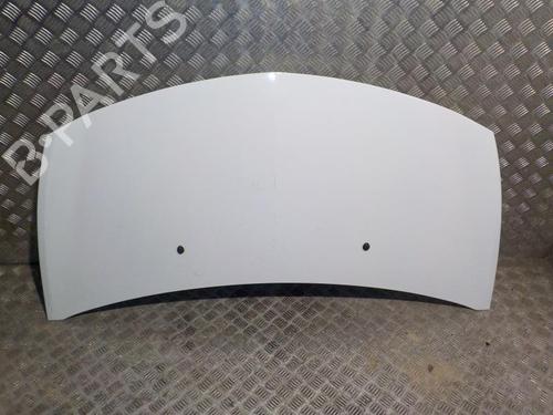 Used Hood RENAULT CLIO III (BR0/1, CR0/1) 1.5 dCi (C/BR0G, C/BR1G) (68 hp) 24266238