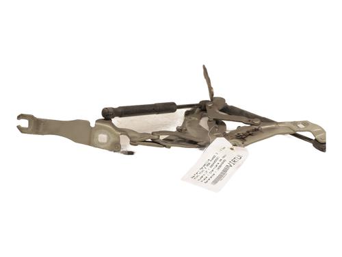 Hinge/Door check strap MINI MINI (R56) Cooper | BP24977769C146 
