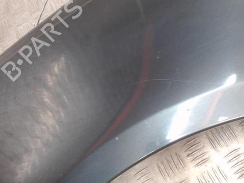 Left front fenders VW POLO IV (9N_, 9A_) 1.2 12V | BP29402494C41 