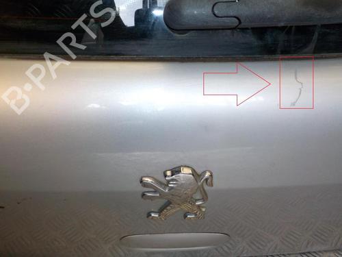 Used Tailgate PEUGEOT 307 (3A/C) 2.0 HDi 110 (107 hp) 24280314