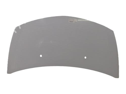 Panser Panser RENAULT CLIO III (BR0/1, CR0/1) 1.5 dCi (C/BR0G, C/BR1G) (68 hp) 34373248 34373248