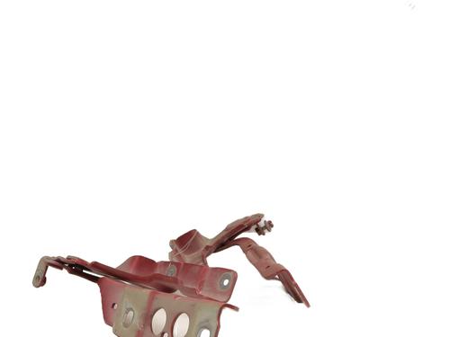 hingedoor-check-strap-citroen-c4-ii-nc_-2009-24541110 main image