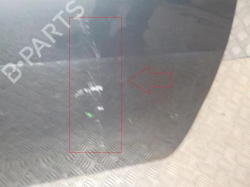 Right front door FIAT PUNTO (199_) 1.2 (199AXZ1A, 199BXZ1A) | BP24281957C3 