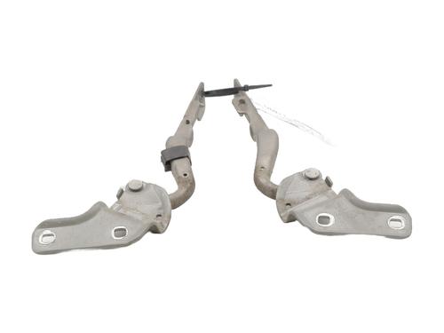 Used Hinge/Door check strap RENAULT CLIO III (BR0/1, CR0/1) 1.5 dCi (C/BR0G, C/BR1G) (68 hp) 27624635