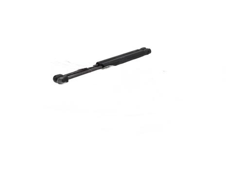 tailgate-lift-support-renault-megane-ii-bm01_-cm01_-2001-2002-2003-2004-2005-2006-2007-2008-2009-2010-2011-2012-30646280 main image