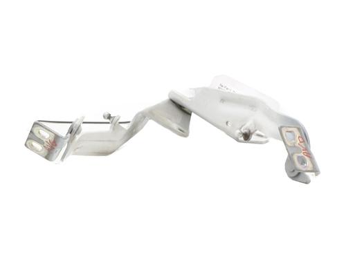 Cerniera/Limitatore di apertura porta RENAULT KANGOO Express (FW0/1_) 1.5 dCi 95 (FW16) (95 hp) 31170905