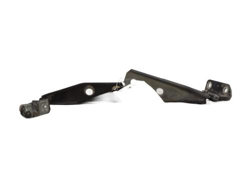 Hinge/Door check strap AUDI A3 (8P1) 2.0 TDI 16V | BP29039765C146 