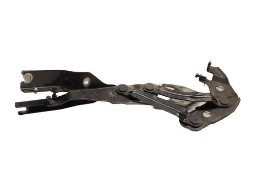 Hinge/Door check strap AUDI A1 (8X1, 8XK) 1.6 TDI | BP24951797C146