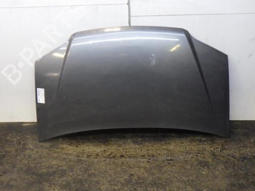Used Hood FIAT IDEA (350_) 1.9 JTD (101 hp) 29039779