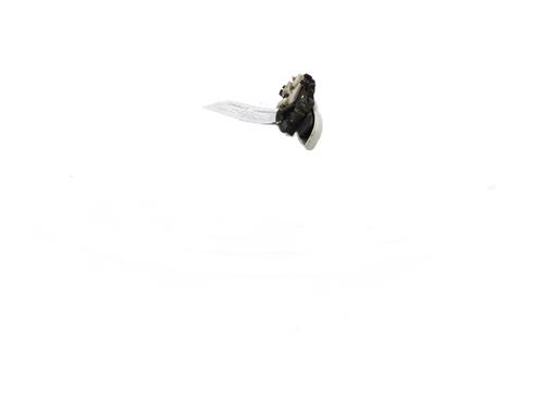Front right exterior door handle FIAT PANDA (312_, 319_) 1.2 (312PXA1A) | BP29184854C129 