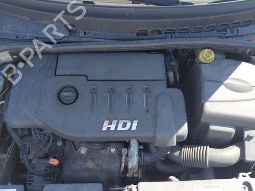 Left front fenders CITROËN C3 Pluriel (HB_) 1.4 HDi | BP24276815C41 