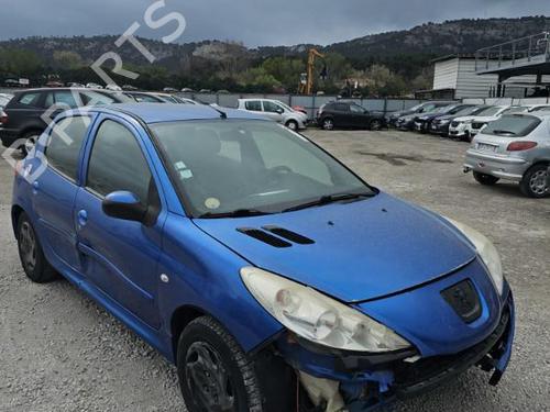 Left front door PEUGEOT 206+ (2L_, 2M_) 1.4 HDi eco 70 | BP24272748C2 