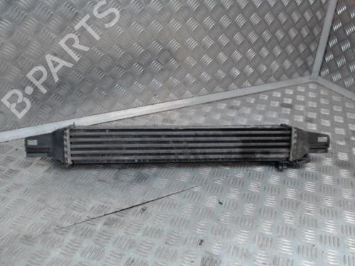 Intercooler CITROËN NEMO Box Body/MPV (AA_) 1.3 HDi 75 | BP24281076M30  - Image 5