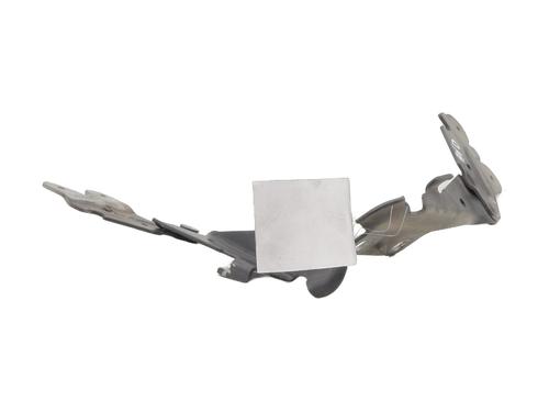 hingedoor-check-strap-renault-laguna-ii-bg01_-2001-2002-2003-2004-2005-2006-2007-27523078 main image