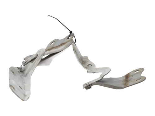 hingedoor-check-strap-renault-twingo-ii-cn0_-2007-39090787 main image