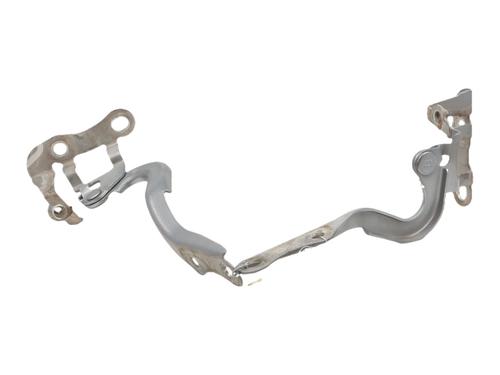 Dørhengsel/Dørstopper Dørhengsel/Dørstopper TOYOTA YARIS (_P13_) [2010-2020] 36345992 36345992
