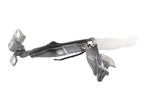 hingedoor-check-strap-citroen-c3-ii-sc_-2009-33415309 main image