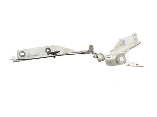 hingedoor-check-strap-citroen-c3-ii-sc_-2009-33025809 main image