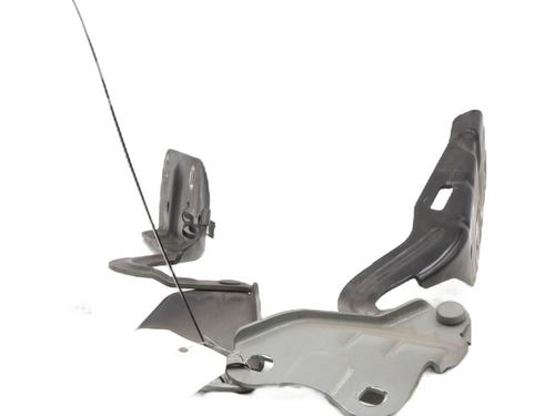 Hinge/Door check strap RENAULT TWINGO II (CN0_) 1.5 dCi (CN0E) | BP30856598C146