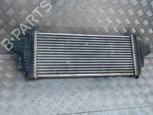 Intercooler MERCEDES-BENZ M-CLASS (W164) ML 320 CDI 4-matic (164.122) | BP24274495M30 