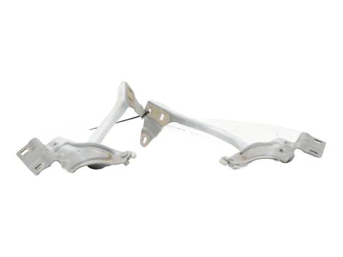 Used Hinge/Door check strap RENAULT MEGANE IV Hatchback (B9A/M/N_) 1.2 TCe 100 (B9MS) (100 hp) 30884435